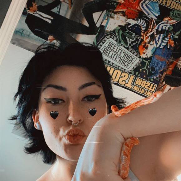 shayfulton